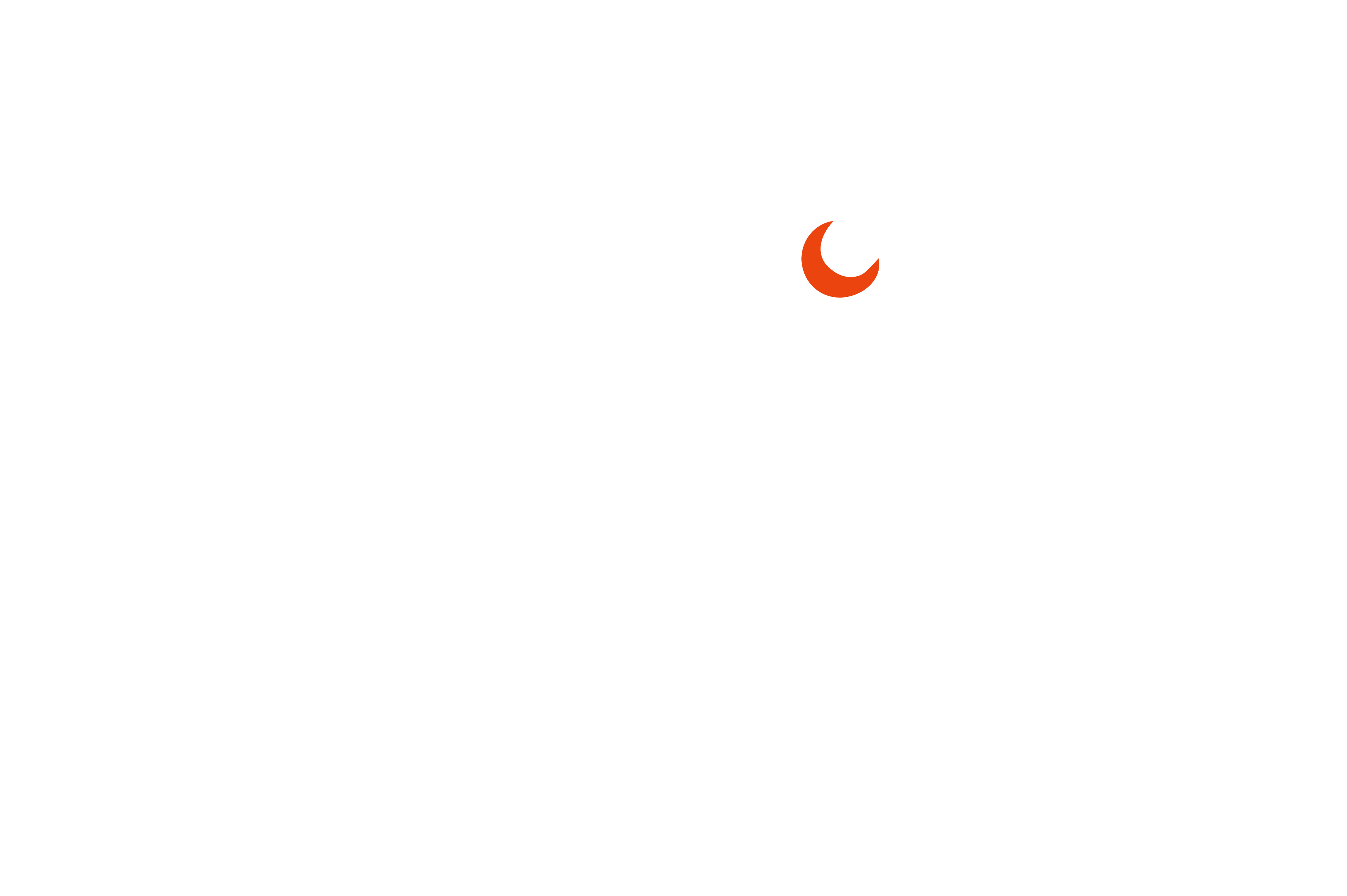 NightFox Marketing